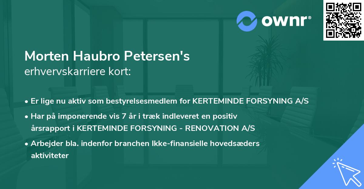 Morten Haubro Petersen's erhvervskarriere kort