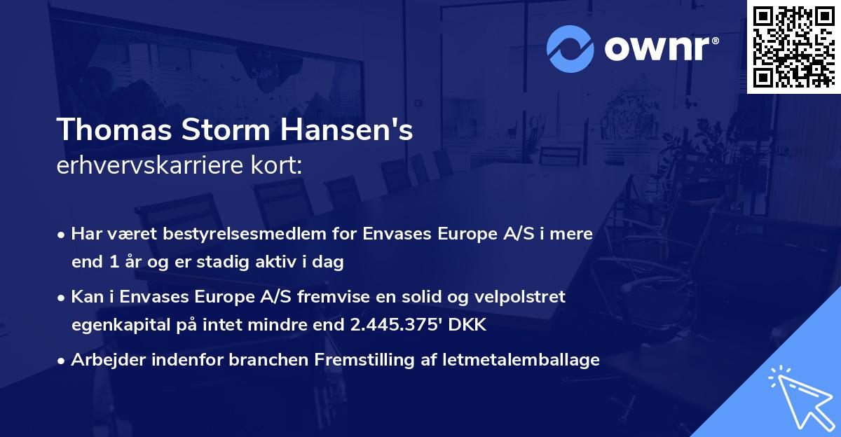 Thomas Storm Hansen's erhvervskarriere kort