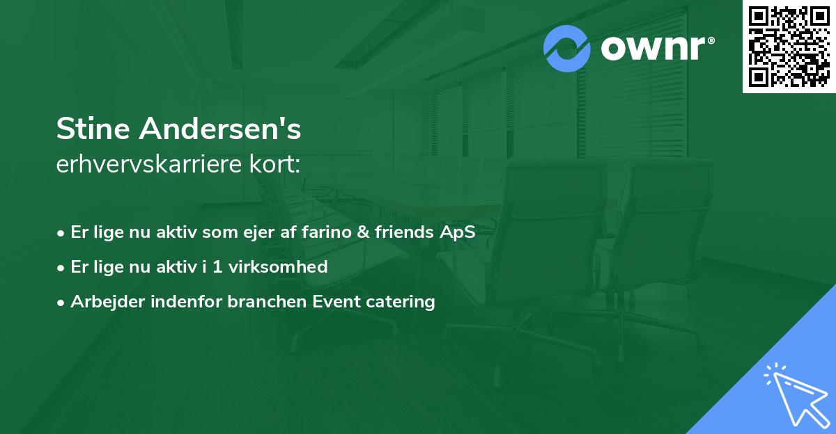 Stine Andersen's erhvervskarriere kort