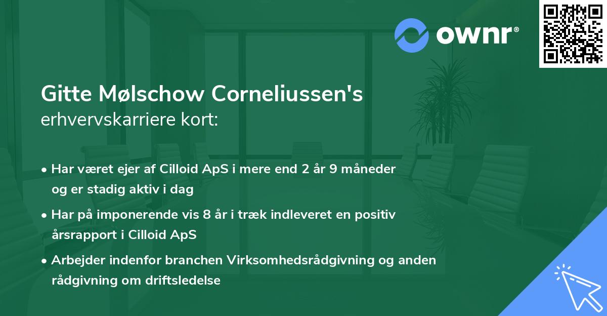 Gitte Mølschow Corneliussen's erhvervskarriere kort
