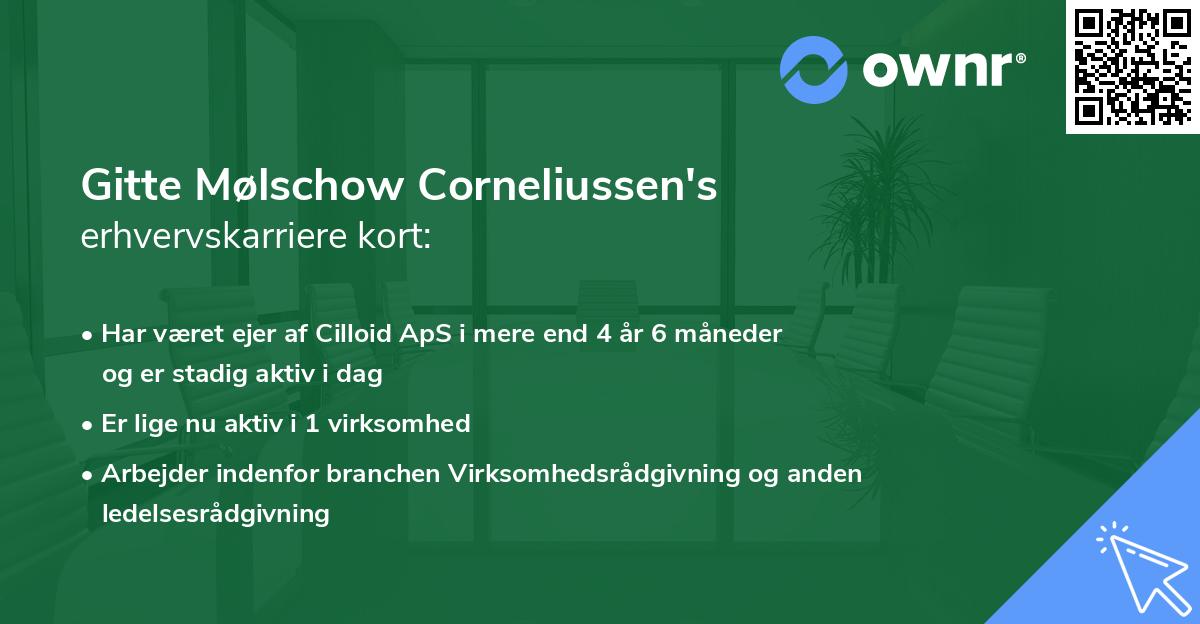 Gitte Mølschow Corneliussen's erhvervskarriere kort