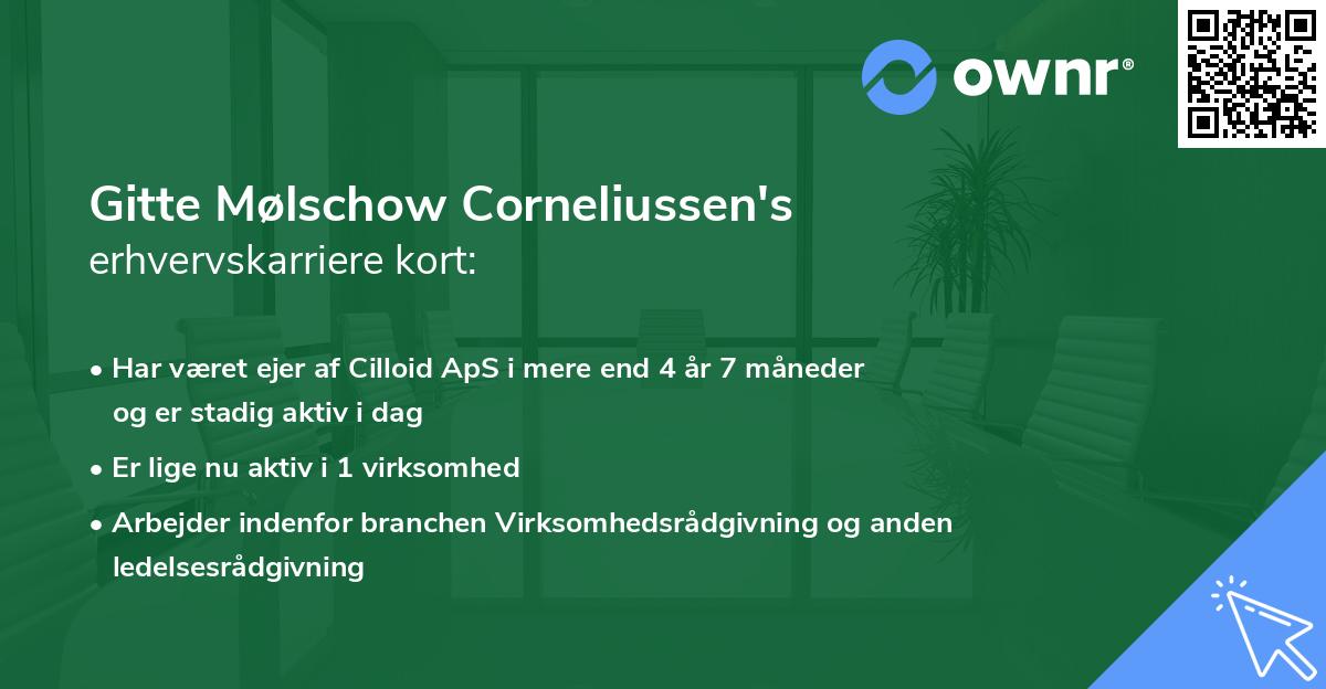 Gitte Mølschow Corneliussen's erhvervskarriere kort