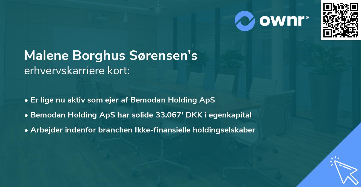 Malene Borghus Sørensen's erhvervskarriere kort