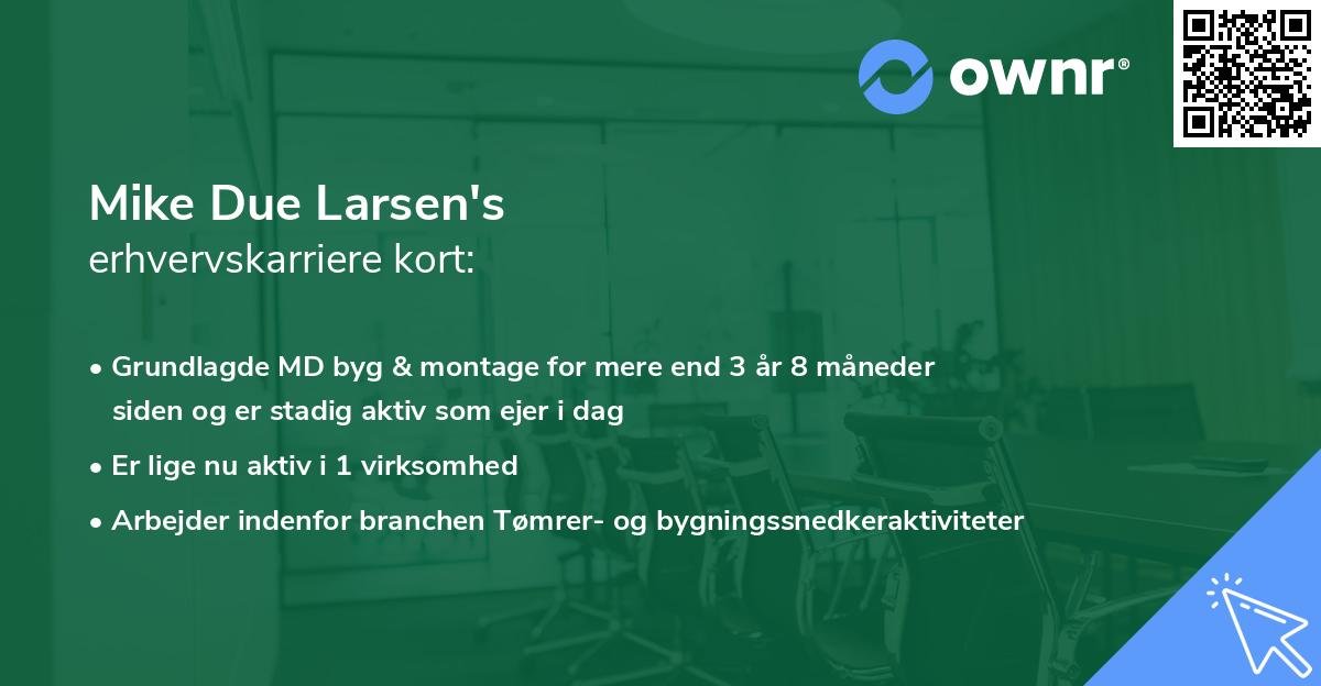 Mike Due Larsen's erhvervskarriere kort