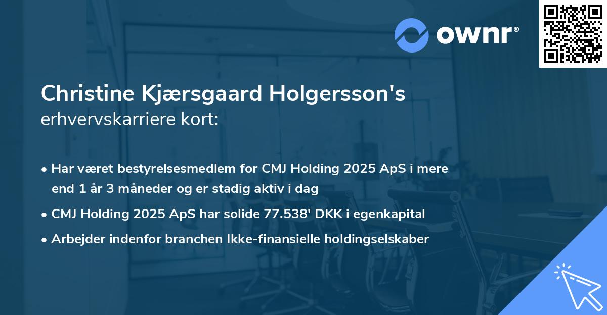 Christine Kjærsgaard Holgersson's erhvervskarriere kort