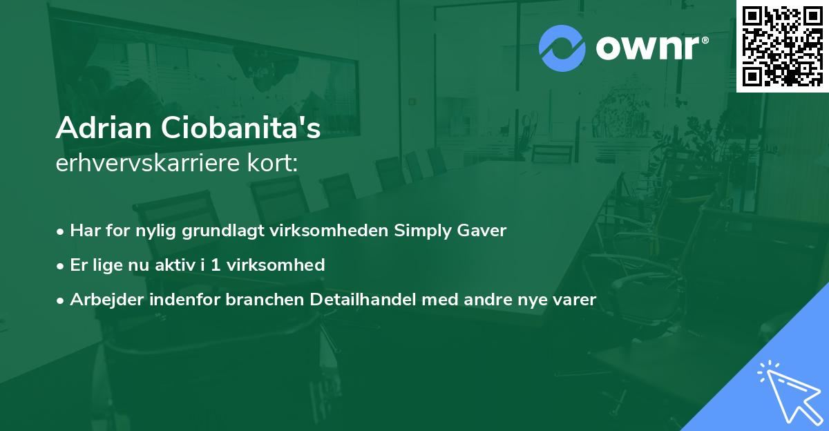 Adrian Ciobanita's erhvervskarriere kort