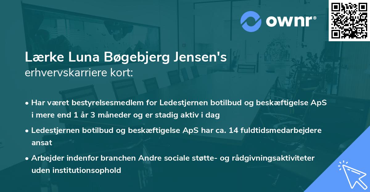 Lærke Luna Bøgebjerg Jensen's erhvervskarriere kort