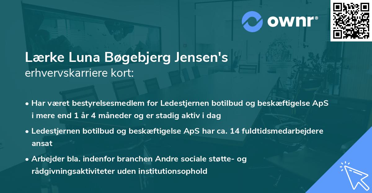 Lærke Luna Bøgebjerg Jensen's erhvervskarriere kort