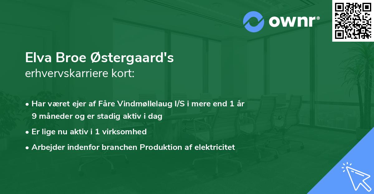 Elva Broe Østergaard's erhvervskarriere kort