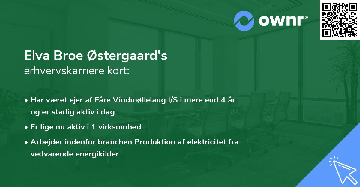 Elva Broe Østergaard's erhvervskarriere kort