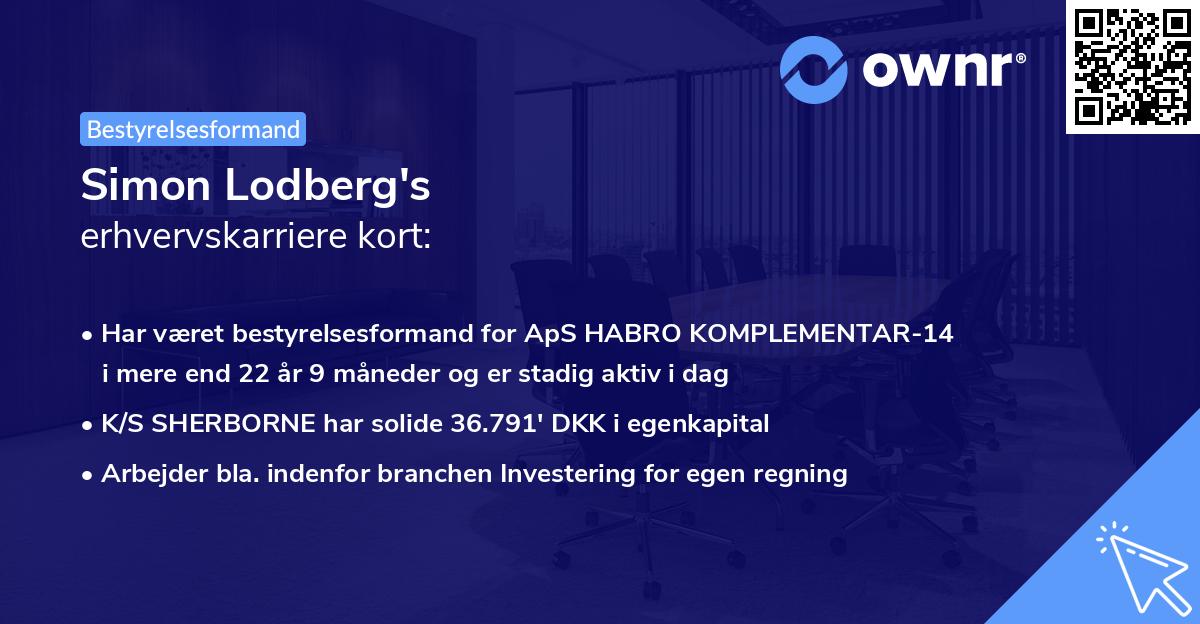 Simon Lodberg's erhvervskarriere kort