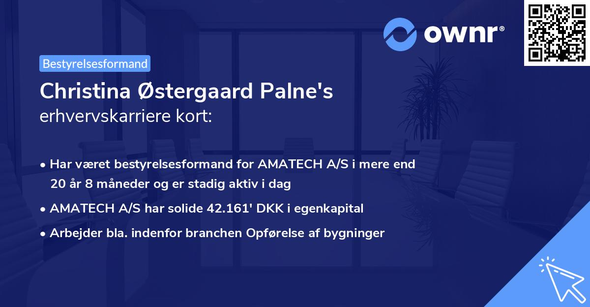 Christina Østergaard Palne's erhvervskarriere kort