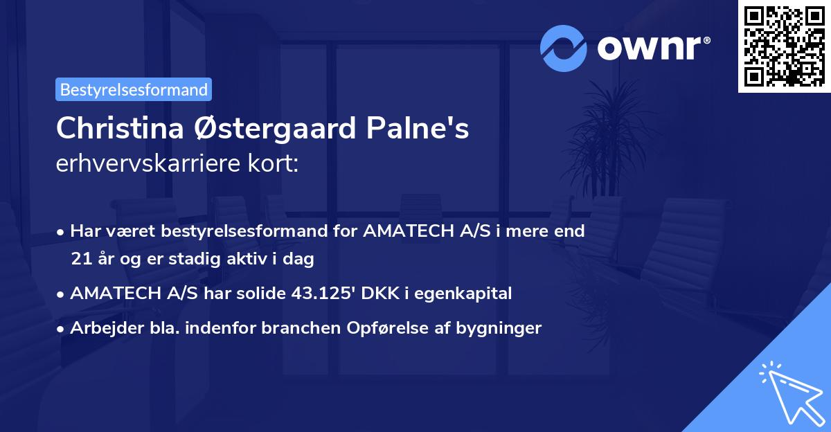 Christina Østergaard Palne's erhvervskarriere kort