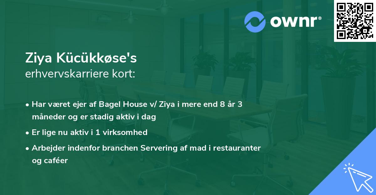 Ziya Kücükkøse's erhvervskarriere kort
