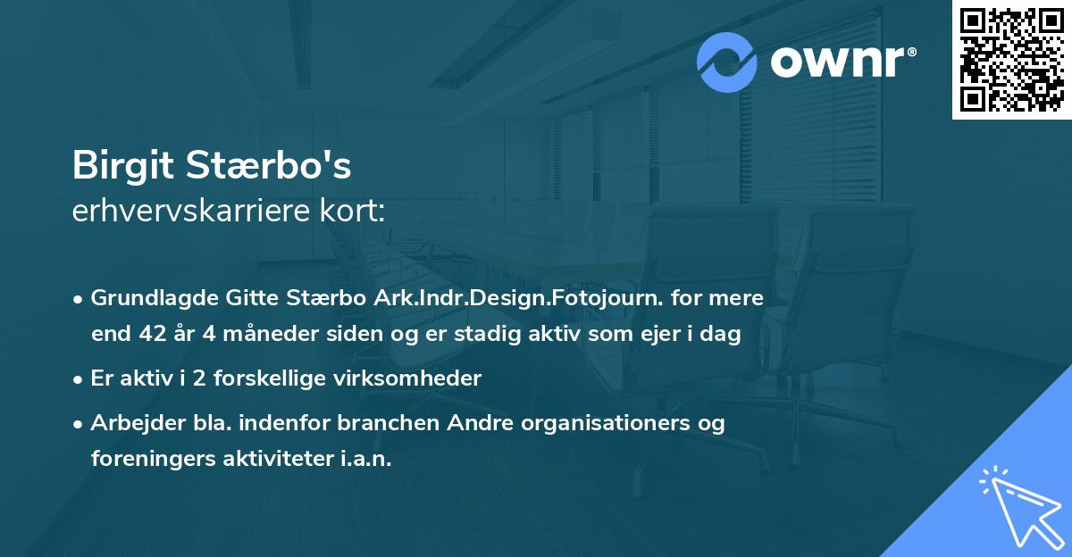Birgit Stærbo's erhvervskarriere kort