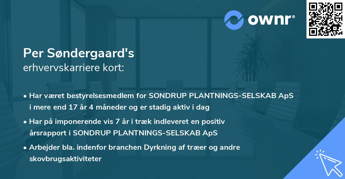 Per Søndergaard's erhvervskarriere kort