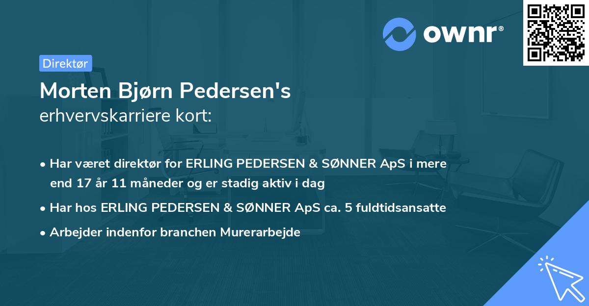 Morten Bjørn Pedersen's erhvervskarriere kort