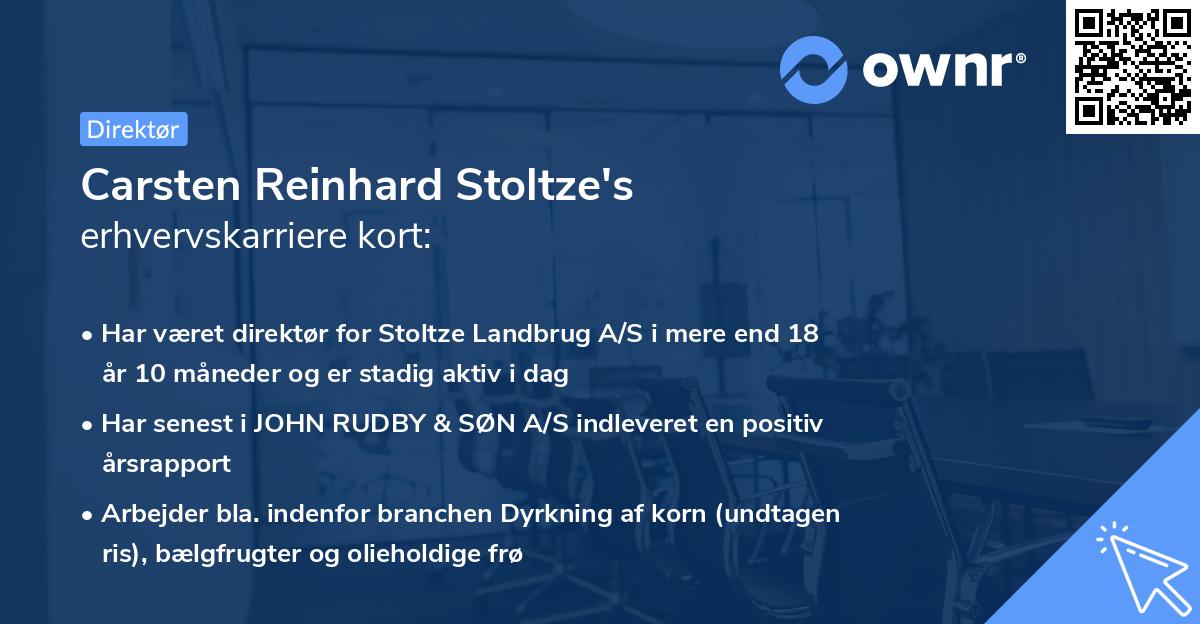 Carsten Reinhard Stoltze's erhvervskarriere kort