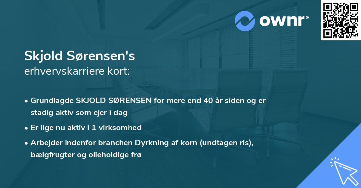 Skjold Sørensen's erhvervskarriere kort