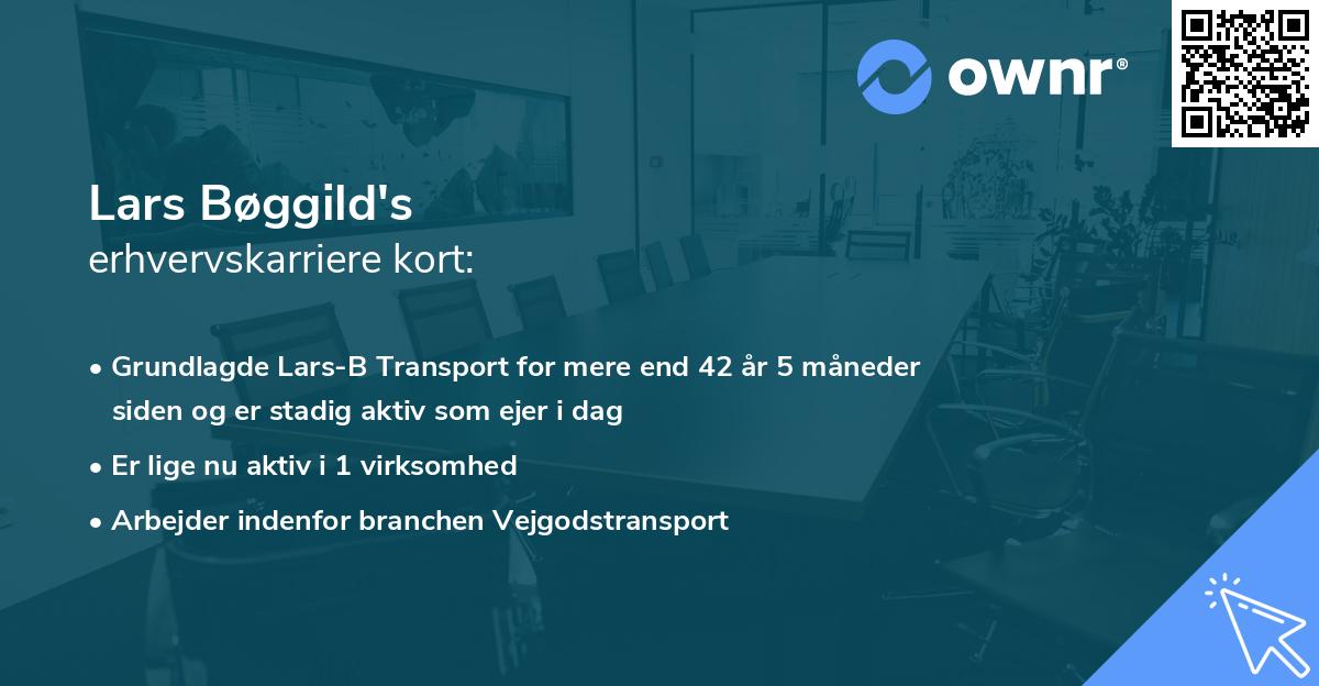 Lars Bøggild's erhvervskarriere kort