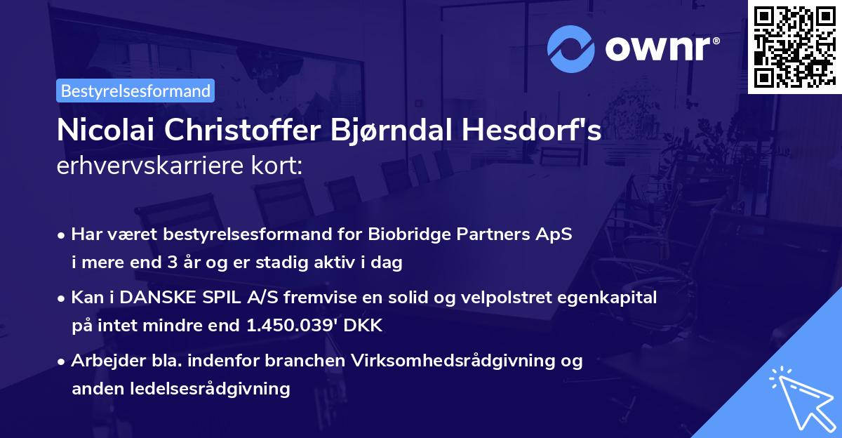Nicolai Christoffer Bjørndal Hesdorf's erhvervskarriere kort