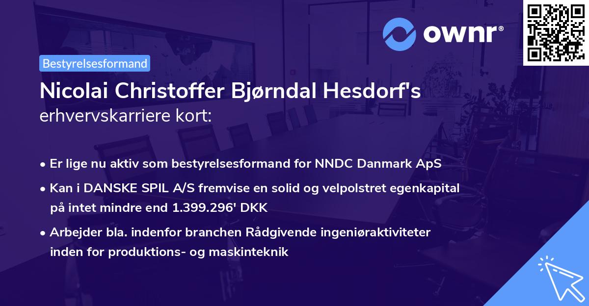 Nicolai Christoffer Bjørndal Hesdorf's erhvervskarriere kort