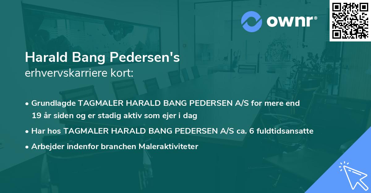 Harald Bang Pedersen's erhvervskarriere kort