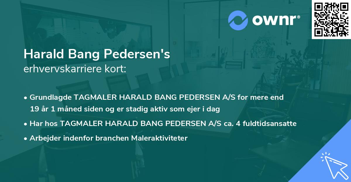 Harald Bang Pedersen's erhvervskarriere kort