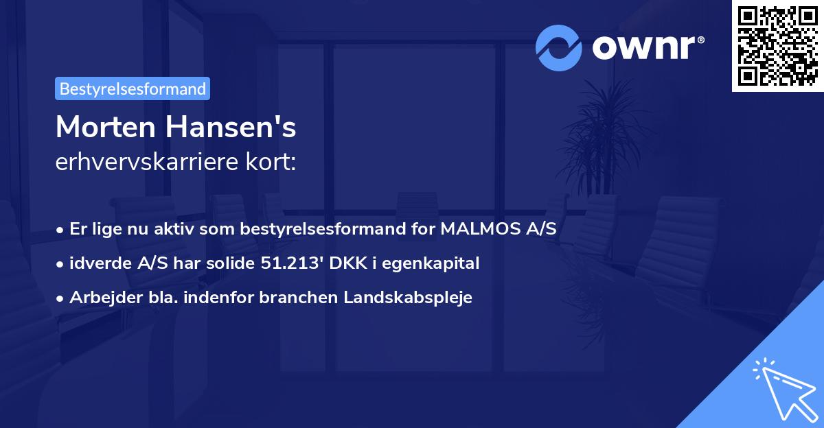 Morten Hansen's erhvervskarriere kort