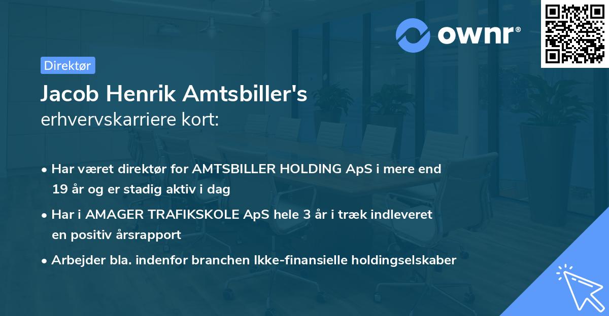 Jacob Henrik Amtsbiller's erhvervskarriere kort
