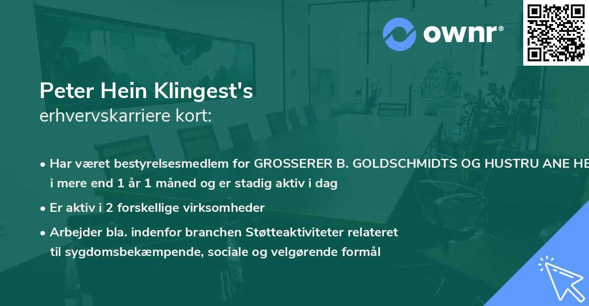 Peter Hein Klingest's erhvervskarriere kort