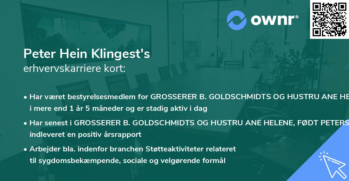 Peter Hein Klingest's erhvervskarriere kort