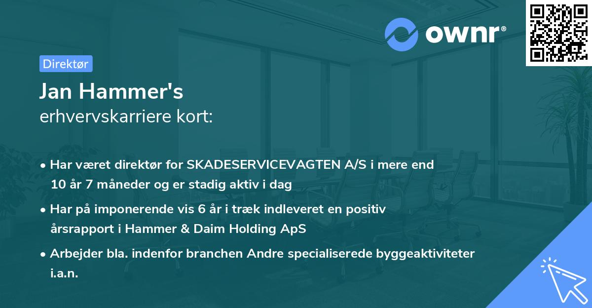 Jan Hammer's erhvervskarriere kort