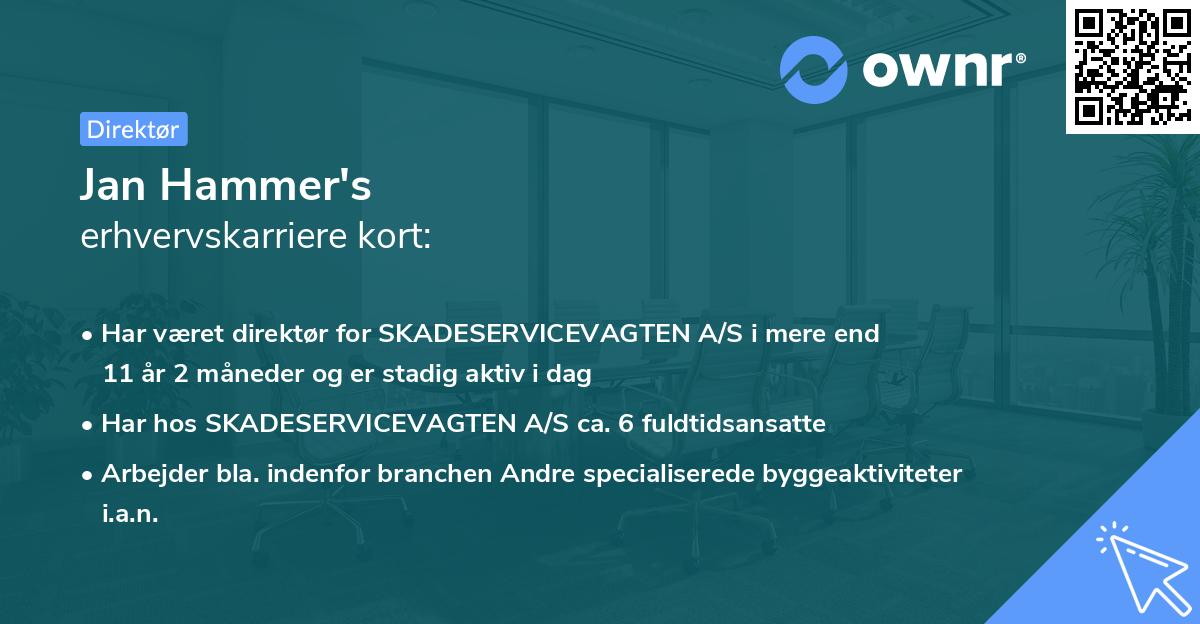 Jan Hammer's erhvervskarriere kort