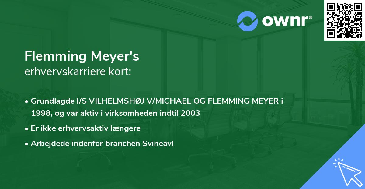 Flemming Meyer's erhvervskarriere kort