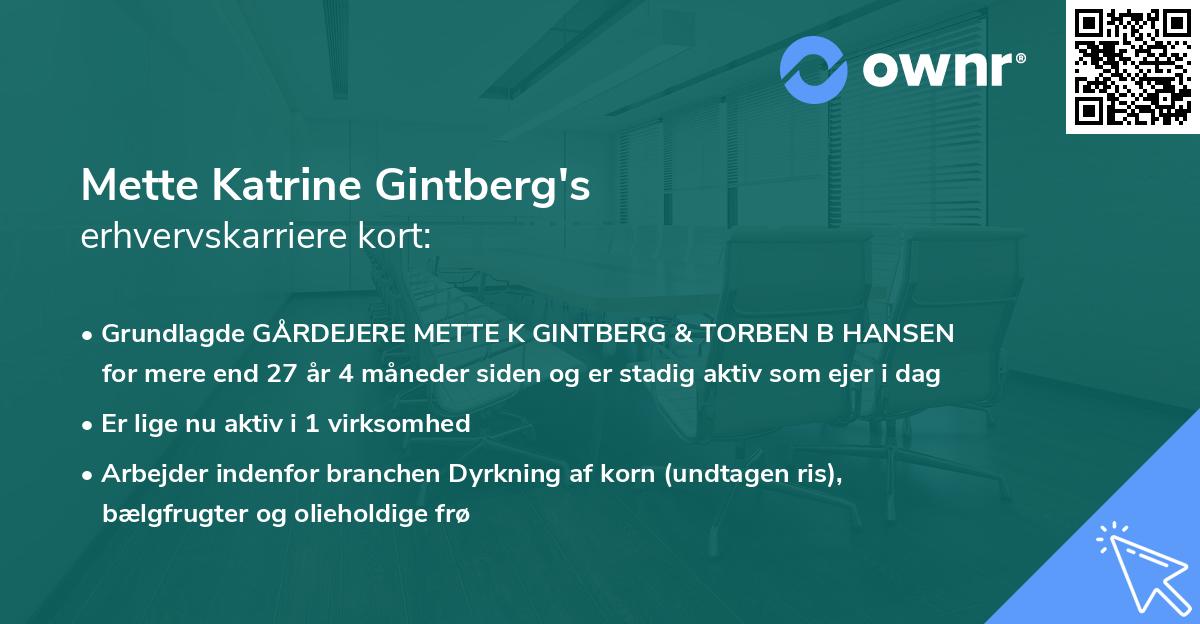 Mette Katrine Gintberg's erhvervskarriere kort