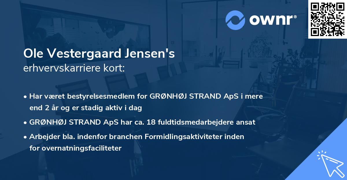 Ole Vestergaard Jensen's erhvervskarriere kort