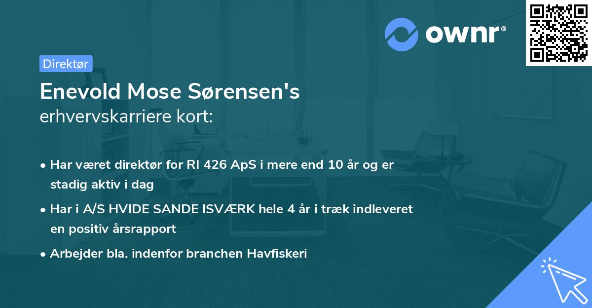 Enevold Mose Sørensen's erhvervskarriere kort
