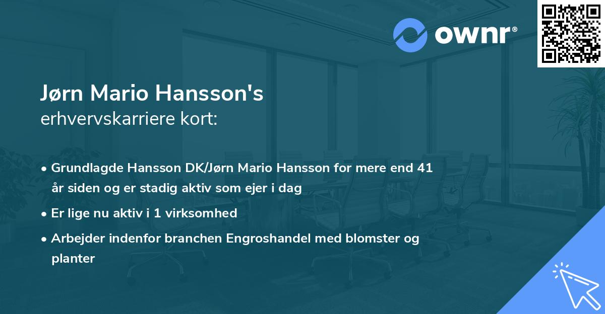 Jørn Mario Hansson's erhvervskarriere kort