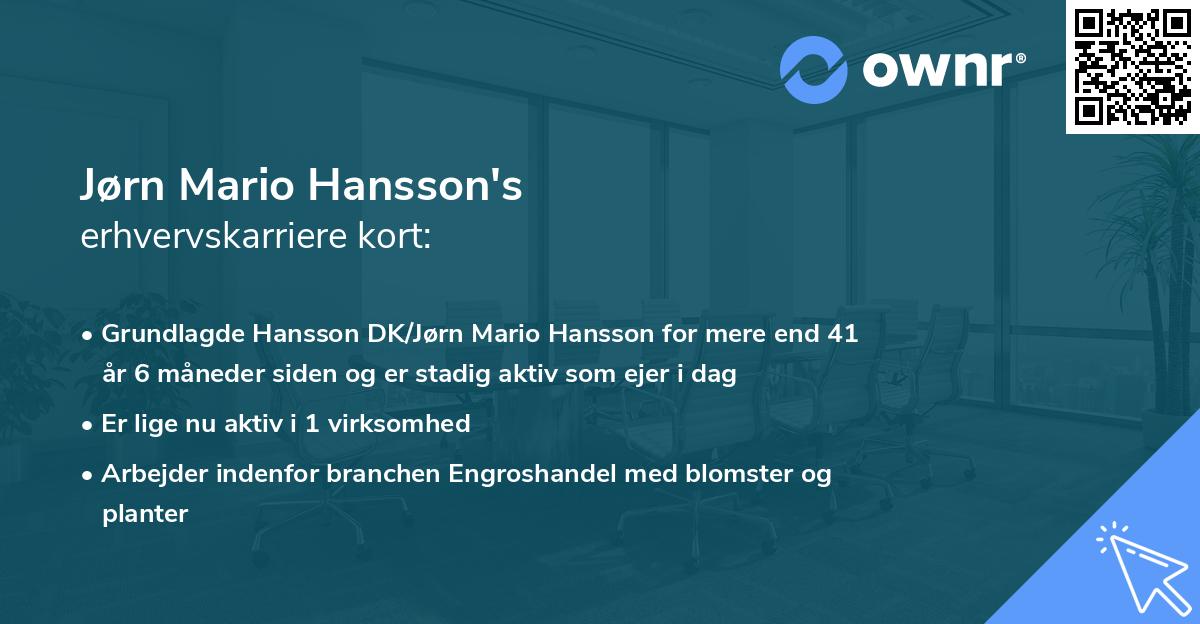 Jørn Mario Hansson's erhvervskarriere kort