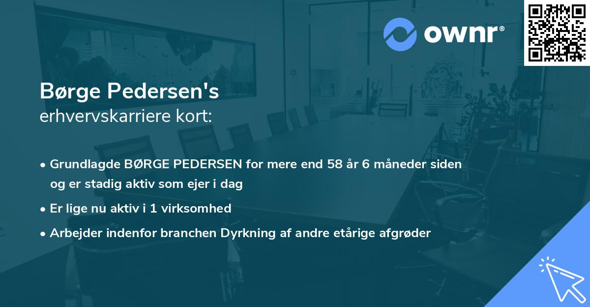 Børge Pedersen's erhvervskarriere kort