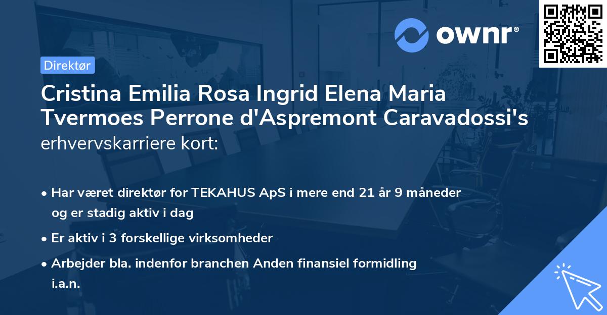 Cristina Emilia Rosa Ingrid Elena Maria Tvermoes Perrone d'Aspremont Caravadossi's erhvervskarriere kort