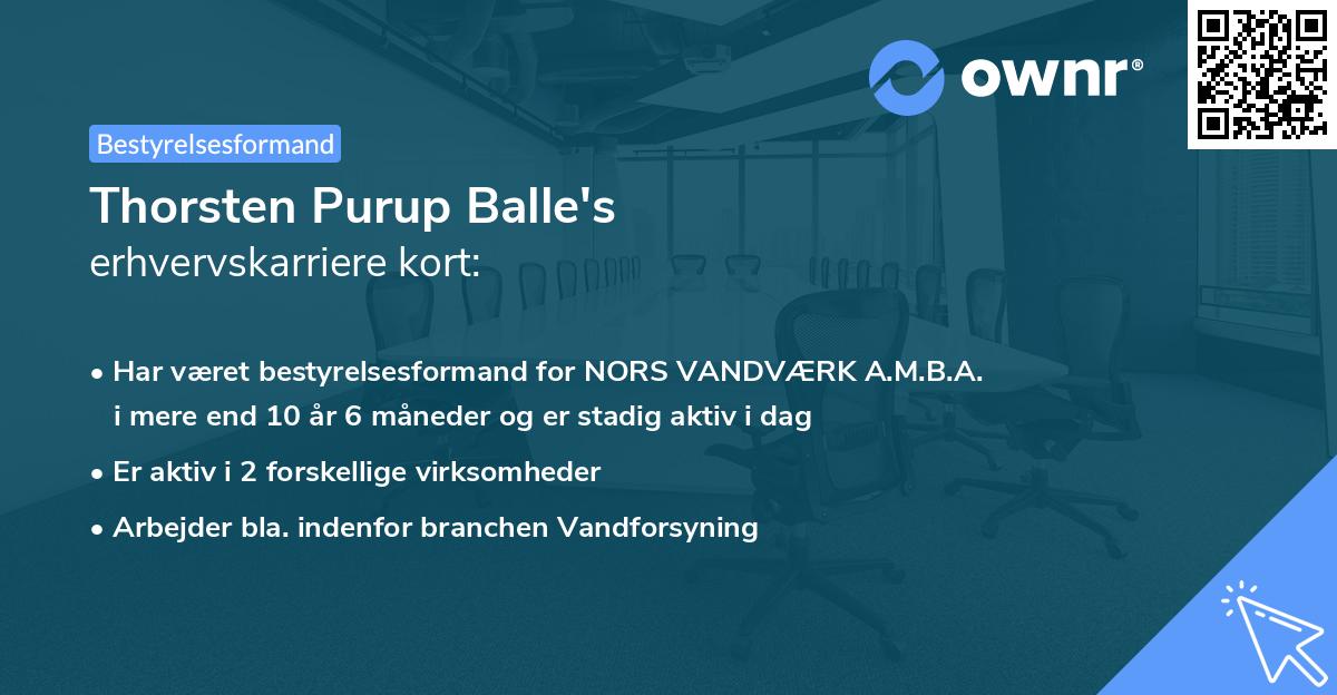 Thorsten Purup Balle's erhvervskarriere kort
