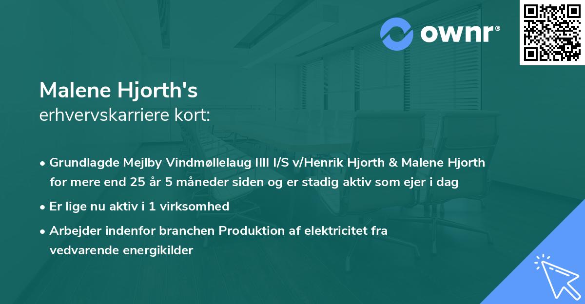 Malene Hjorth's erhvervskarriere kort