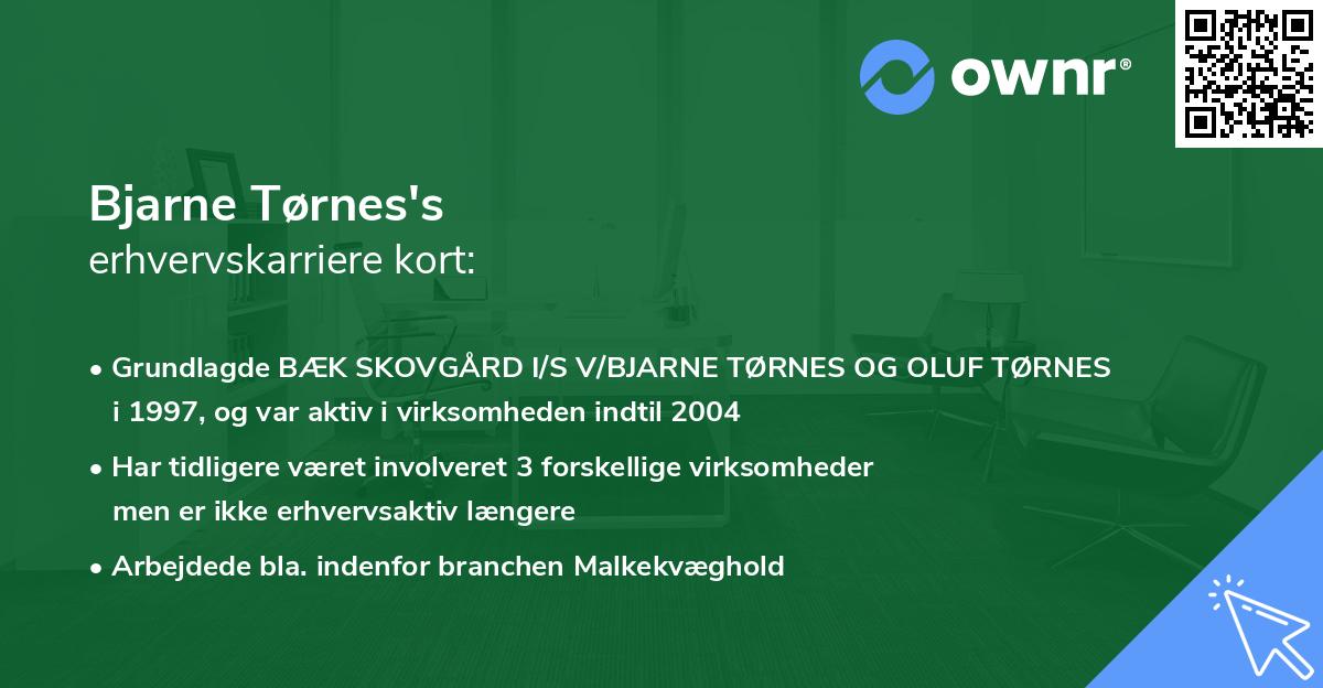 Bjarne Tørnes's erhvervskarriere kort