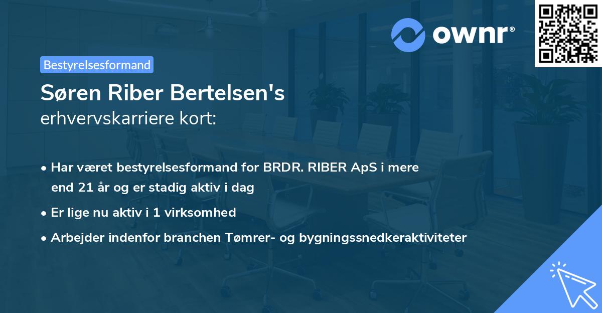 Søren Riber Bertelsen's erhvervskarriere kort