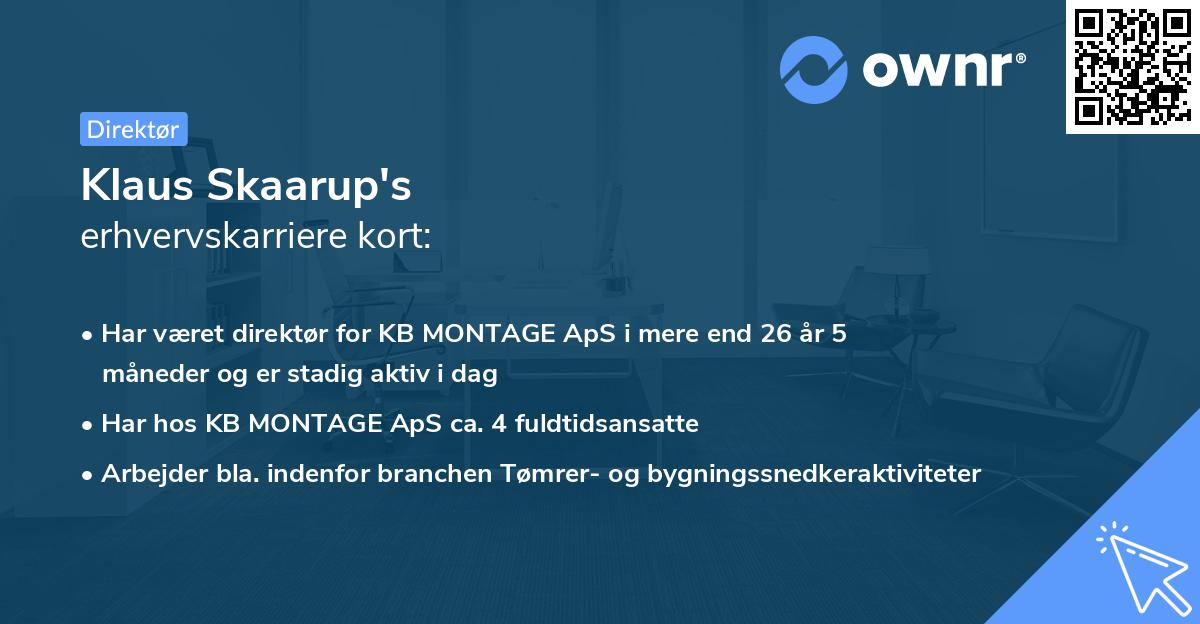 Klaus Skaarup's erhvervskarriere kort