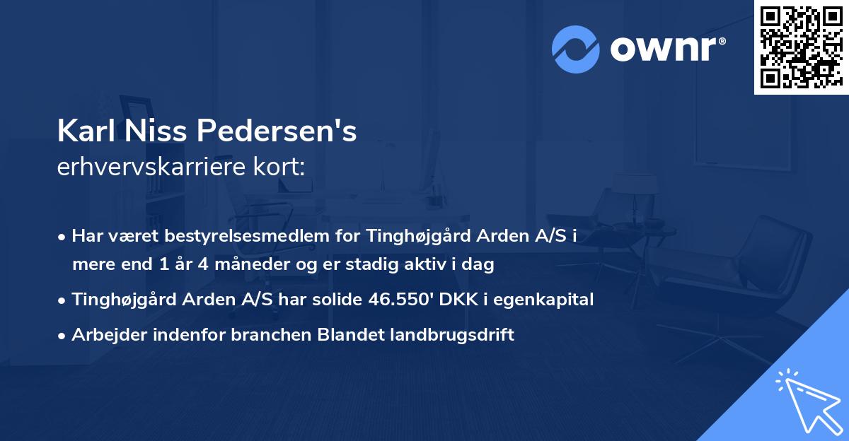 Karl Niss Pedersen's erhvervskarriere kort