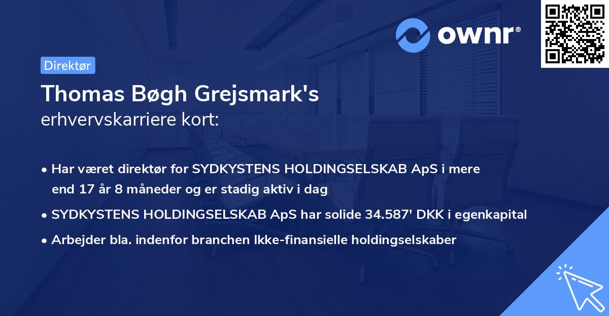 Thomas Bøgh Grejsmark's erhvervskarriere kort