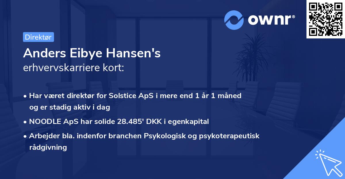 Anders Eibye Hansen's erhvervskarriere kort